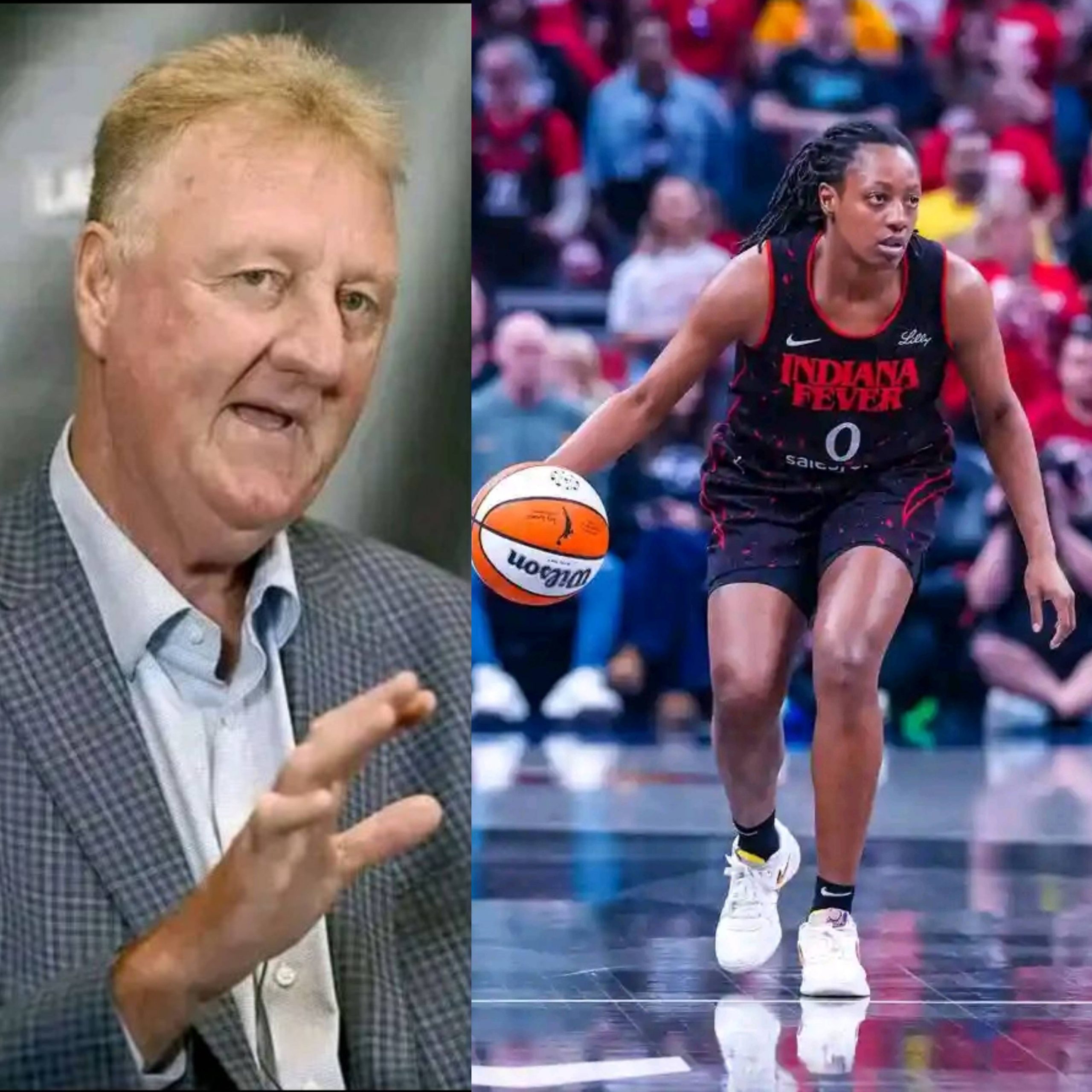 GridArt_20251125_142511178