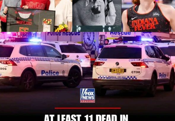 GridArt_20251215_142704636