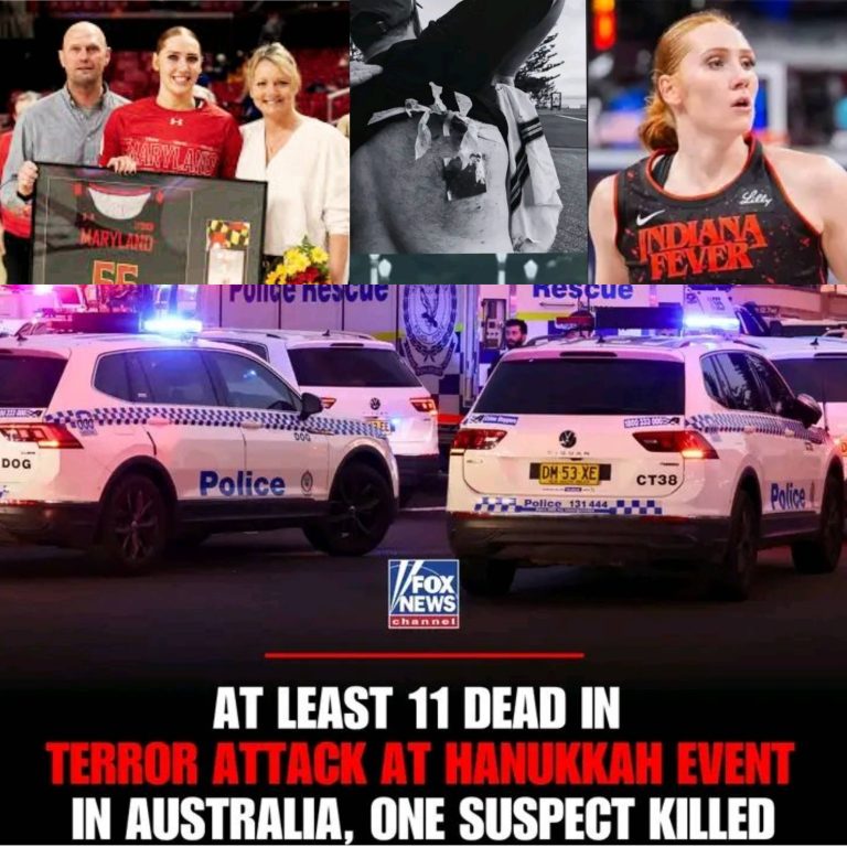 GridArt_20251215_142704636