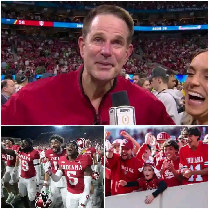 No one saw it coming — not a victory like this, not an atmosphere so electric. When the final whistle blew, confirming