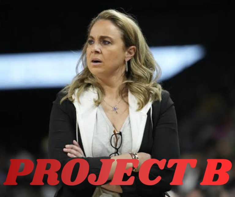 Project B_20260113_195800_0000