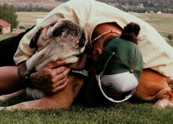 Lewis Hamilton Remembers Roscoe Celebrating the Memories of His Beloved Dog